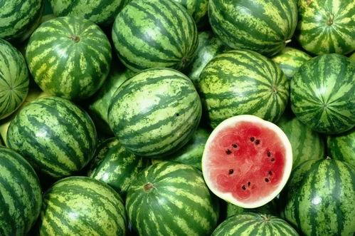 吃瓜多种视频,揭秘热门视频背后的故事 第3张 吃瓜多种视频,揭秘热门视频背后的故事 第3张
